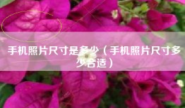 手机照片尺寸是多少（手机照片尺寸多少合适）