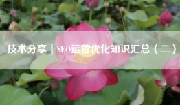 技术分享｜SEO运营优化知识汇总（二）