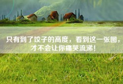只有到了饺子的高度，看到这一张图，才不会让你痛哭流涕！