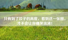 只有到了饺子的高度，看到这一张图，才不会让你痛哭流涕！