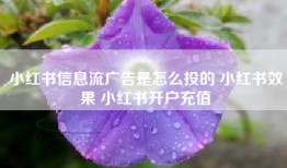 小红书信息流广告是怎么投的 小红书效果 小红书开户充值
