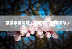 百度手机清理（百度手机清理缓存）