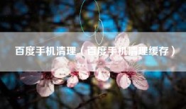 百度手机清理（百度手机清理缓存）