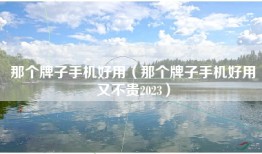 那个牌子手机好用（那个牌子手机好用又不贵2023）