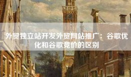 外贸独立站开发外贸网站推广：谷歌优化和谷歌竞价的区别