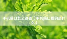 手机端口怎么设置（手机端口指的是什么）