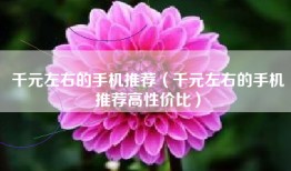 千元左右的手机推荐（千元左右的手机推荐高性价比）