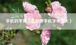手机的字体（怎样使手机字体变大）