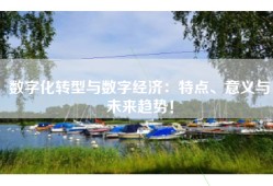 数字化转型与数字经济：特点、意义与未来趋势！