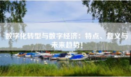 数字化转型与数字经济：特点、意义与未来趋势！