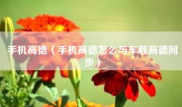 手机高德（手机高德怎么与车载高德同步）
