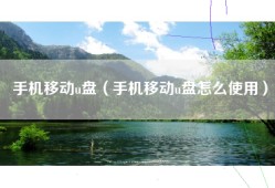 手机移动u盘（手机移动u盘怎么使用）