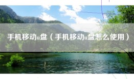手机移动u盘（手机移动u盘怎么使用）
