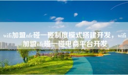wifi加盟nfc碰一碰制度模式搭建开发，wifi加盟nfc碰一碰电商平台开发