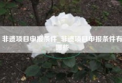 非遗项目申报条件_非遗项目申报条件有哪些