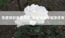 非遗项目申报条件_非遗项目申报条件有哪些
