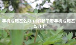 手机成瘾怎么办（3岁孩子看手机成瘾怎么办）