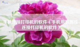 手机连接打印机的软件（手机用数据线连接打印机的软件）