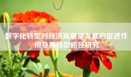 数字化转型对经济高质量发展的促进作用及其转型路径研究