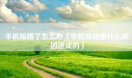 手机短路了怎么办（手机短路是什么原因造成的）
