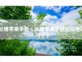 吐槽苹果手机（吐槽苹果手机信号差的句子）