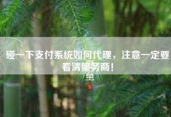 碰一下支付系统如何代理，注意一定要看清服务商！
