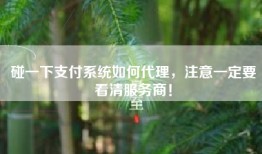 碰一下支付系统如何代理，注意一定要看清服务商！