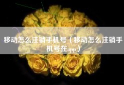 移动怎么注销手机号（移动怎么注销手机号在app）
