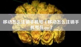 移动怎么注销手机号（移动怎么注销手机号在app）