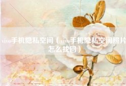 vivo手机隐私空间（vivo手机隐私空间照片怎么找回）