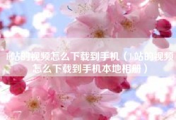b站的视频怎么下载到手机（b站的视频怎么下载到手机本地相册）
