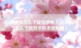 b站的视频怎么下载到手机（b站的视频怎么下载到手机本地相册）