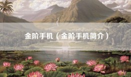 金阶手机（金阶手机简介）