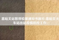 嘉峪关站暂停检票通知书图片(嘉峪关火车站出站疫情防控工作)
