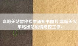 嘉峪关站暂停检票通知书图片(嘉峪关火车站出站疫情防控工作)