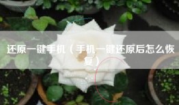 还原一键手机（手机一键还原后怎么恢复）
