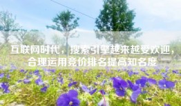 互联网时代，搜索引擎越来越受欢迎，合理运用竞价排名提高知名度