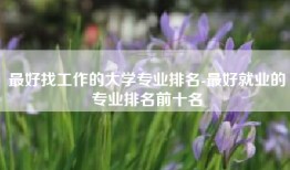 最好找工作的大学专业排名-最好就业的专业排名前十名