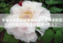 苹果手机怎么扫描身份证（苹果手机怎么扫描身份证正反面到一页上）