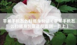 苹果手机怎么扫描身份证（苹果手机怎么扫描身份证正反面到一页上）