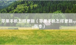 苹果手机怎样更新（苹果手机怎样更新app版本）