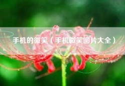 手机的微笑（手机微笑图片大全）