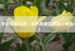 手机屏幕品牌（手机屏幕品牌排行榜2024）