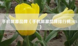 手机屏幕品牌（手机屏幕品牌排行榜2024）