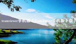 teamviewer手机版（TeamViewer手机版下载）