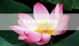 文科最赚钱的专业