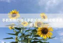 手机拍照扫描（手机拍照扫描成电子表格）