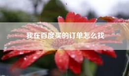我在百度买的订单怎么找