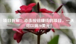 项目拆解：点击按钮赚钱的项目，一天可以搞20美元！