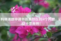 科研课题申请书普遍存在的40个问题，记住十条原则！